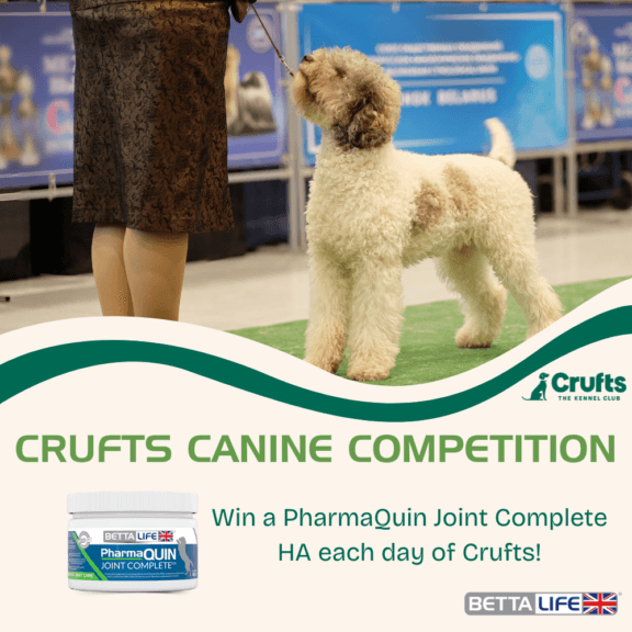 Win Big Each Day of Crufts