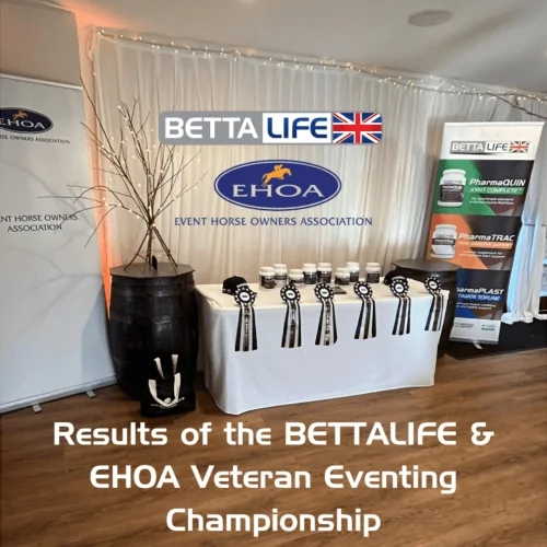 EHOA Awards