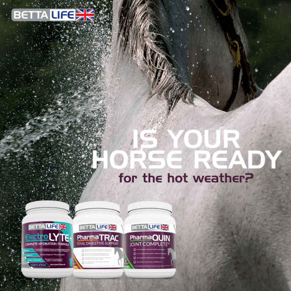 Is Your Horse Ready for the Hot Weather?