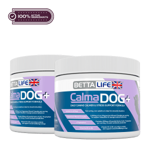 CalmaDog Lead Active