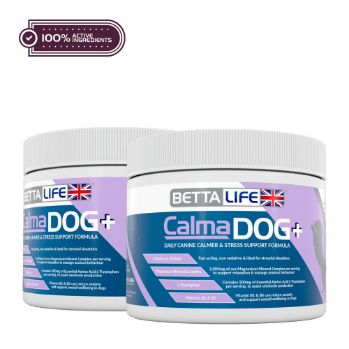 CalmaDog Lead Active