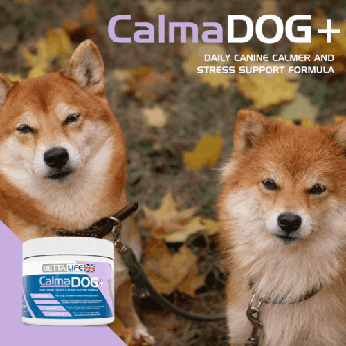 CalmaDog+ Daily Calmer