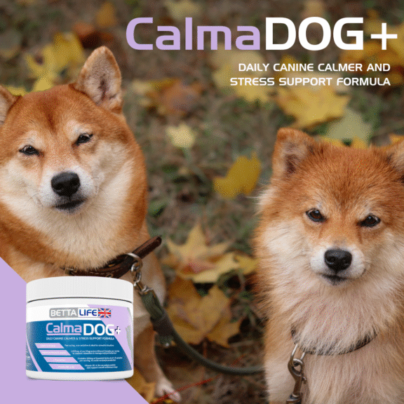 Introducing CalmaDOG+