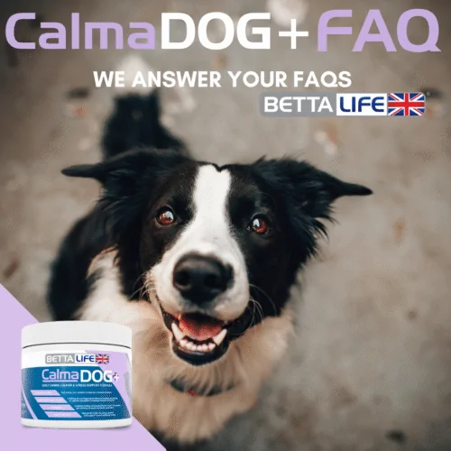 CalmaDOG FAQ Base Website