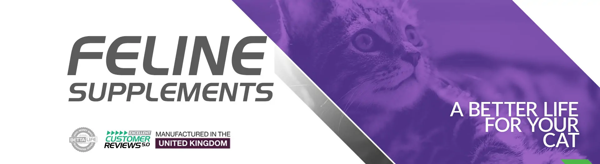 Category Feline 26