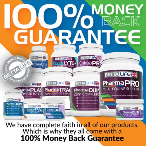 Money Back Square 26